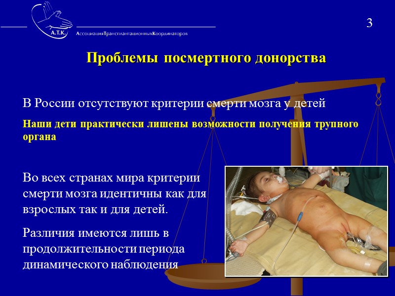 Ведение потенциального донора Цель: не потерять потенциального донора сохранить оптимальное состояние органов  остановка