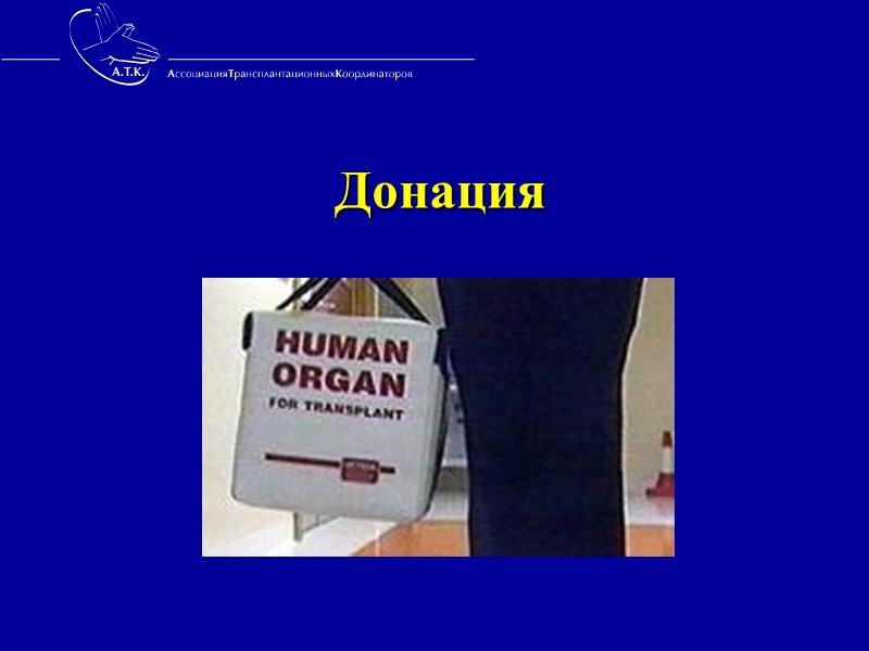 Возможен ли прогресс в органном донорстве ?