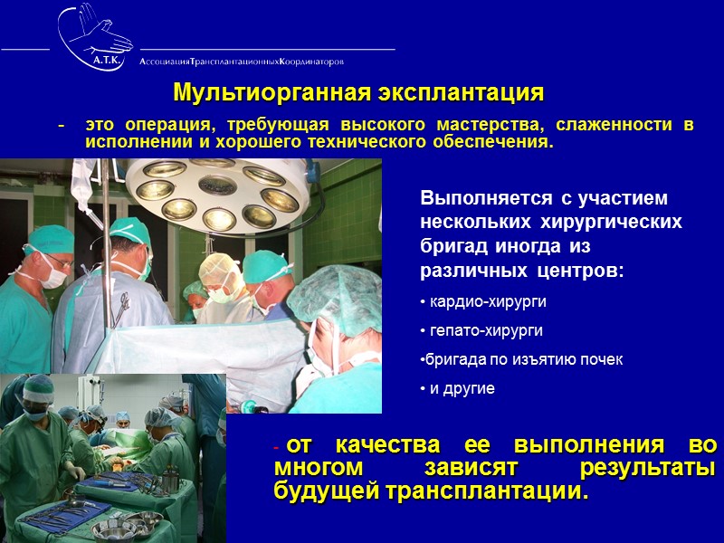 M.Manialichet al : Functions, responsibilities, dedication, payment, organization, and profile of the hospital transplant