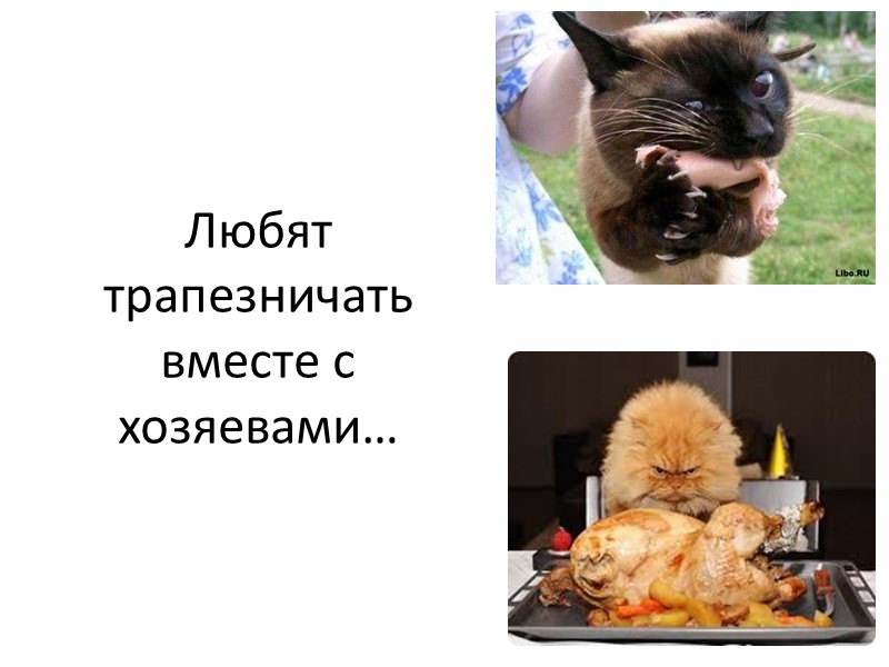 …вообще может быть странным  или   ужасным грязнулей!