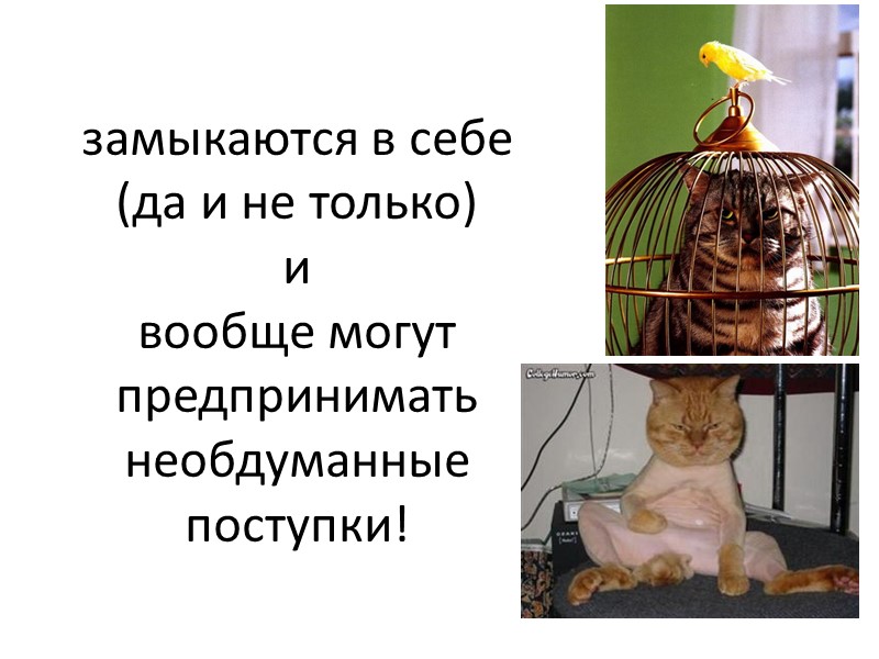 А вообще то кошки иногда помогают своим хозяевам, то тапки погреют, по машину поднимут…