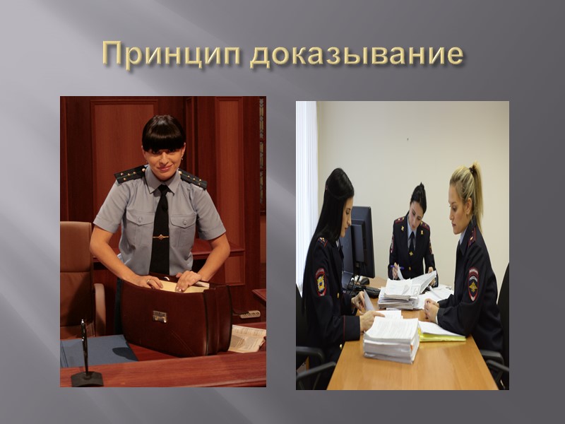 Принцип доказывание