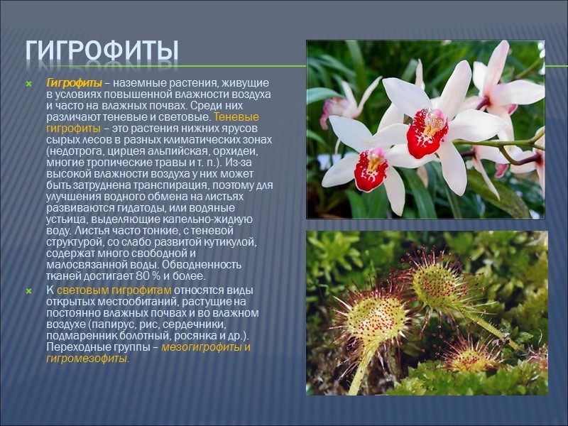 Абиотические факторы Эдафические факторы включают: почву, ее возраст, мощность, плодородие, увлажнение, присутствие элементов питания