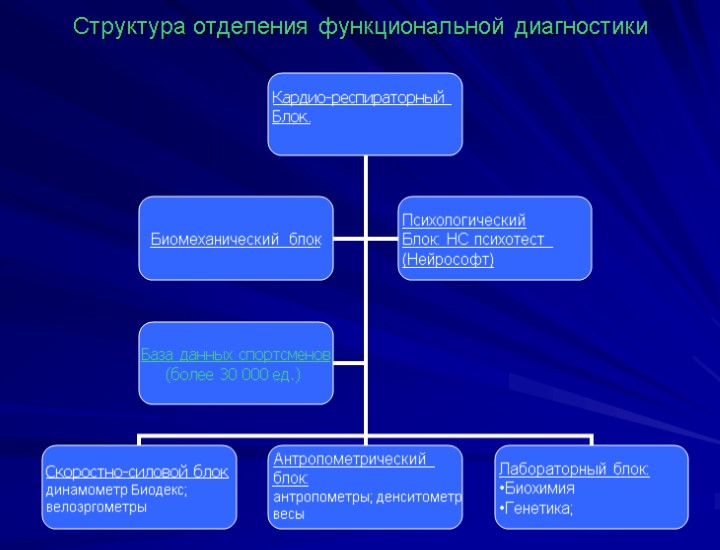 Функциональные филиалы. Диагностическое отделение структура. Состав отделения функциональной диагностики. Диагностические кабинеты структура. Основные задачи и функции отделения функциональной диагностики.