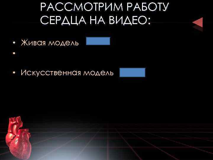 РАССМОТРИМ РАБОТУ СЕРДЦА НА ВИДЕО: • Живая модель • • Искусственная модель 