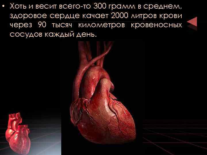  • Хоть и весит всего-то 300 грамм в среднем, здоровое сердце качает 2000