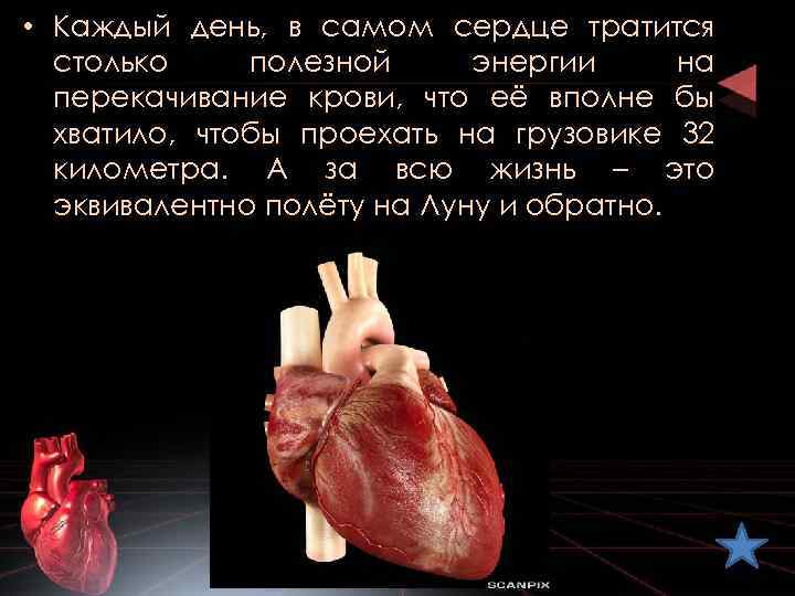  • Каждый день, в самом сердце тратится столько полезной энергии на перекачивание крови,