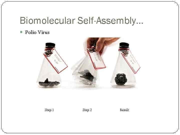 Biomolecular Self-Assembly… Polio Virus Step 1 Step 2 Result 