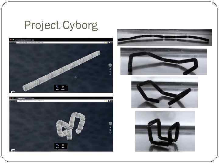 Project Cyborg 