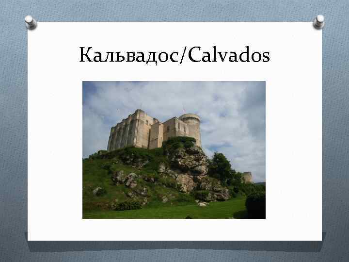 Кальвадос/Calvados 