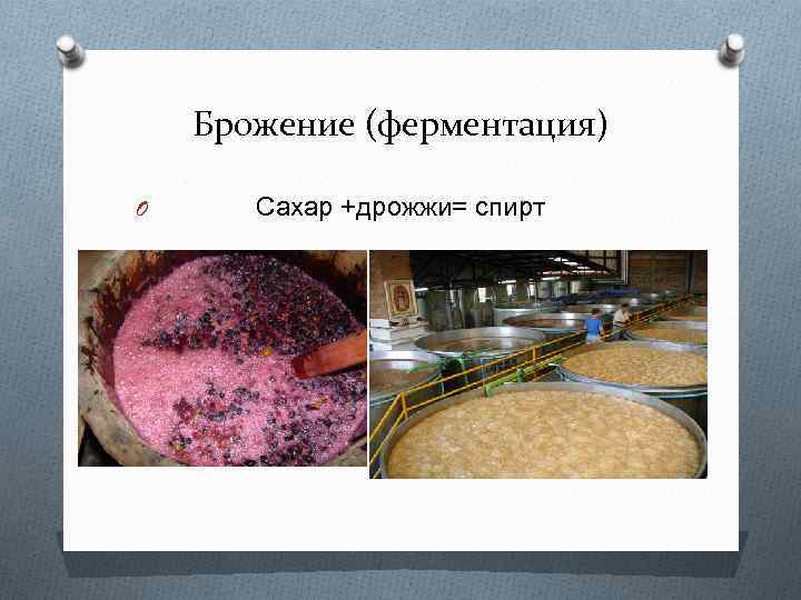 Брожение (ферментация) O Сахар +дрожжи= спирт 