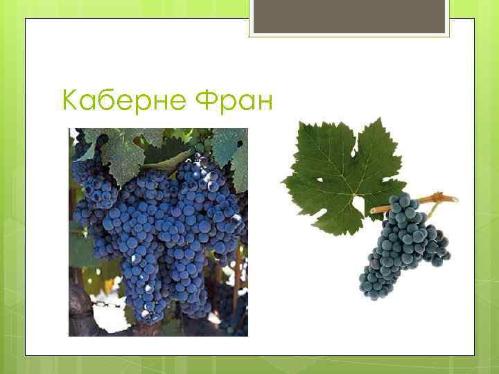 Каберне Фран 