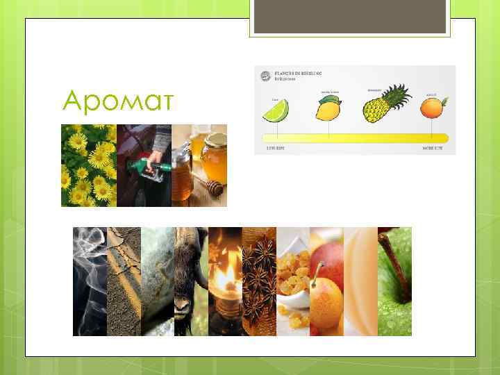 Аромат 