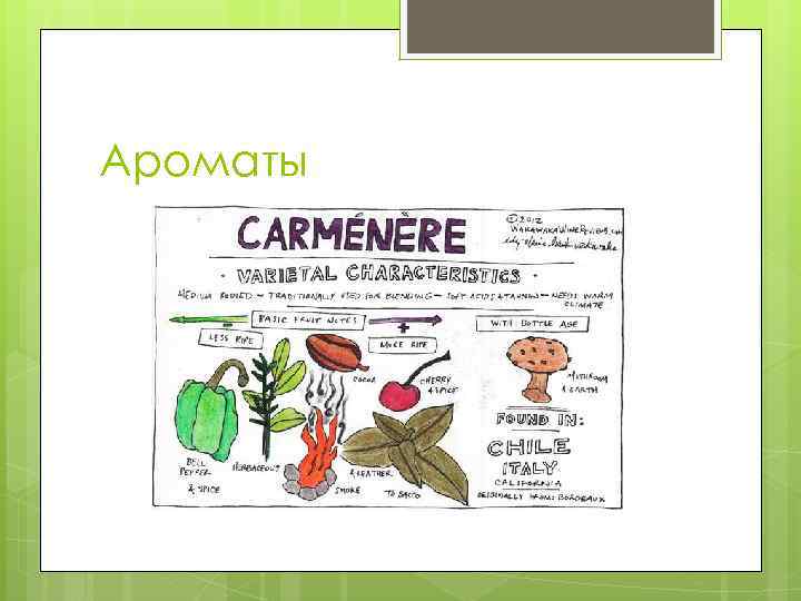 Ароматы 