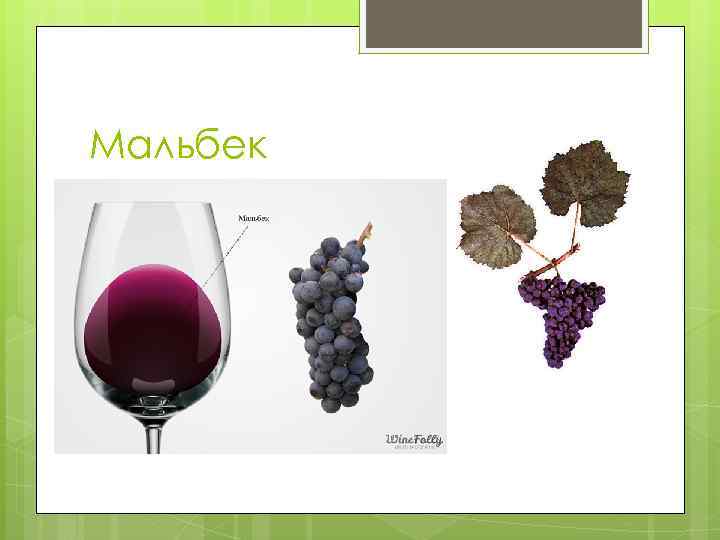 Мальбек 