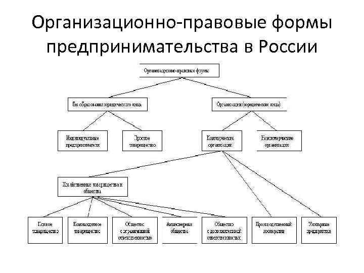 Организационно правовая форма деятельности