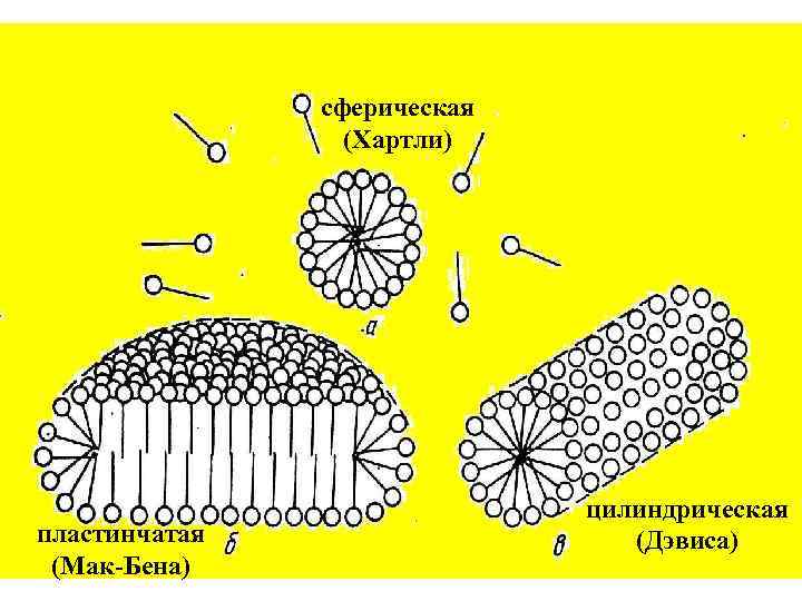 сферическая (Хартли) пластинчатая (Мак-Бена) цилиндрическая (Дэвиса) 