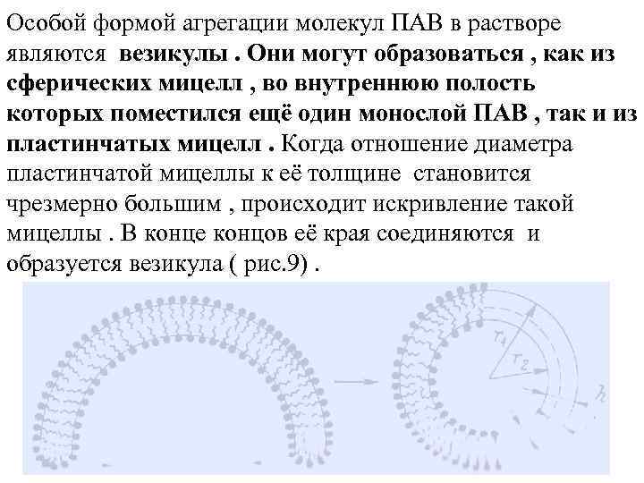 Особой формой агрегации молекул ПАВ в растворе являются везикулы. Они могут образоваться , как