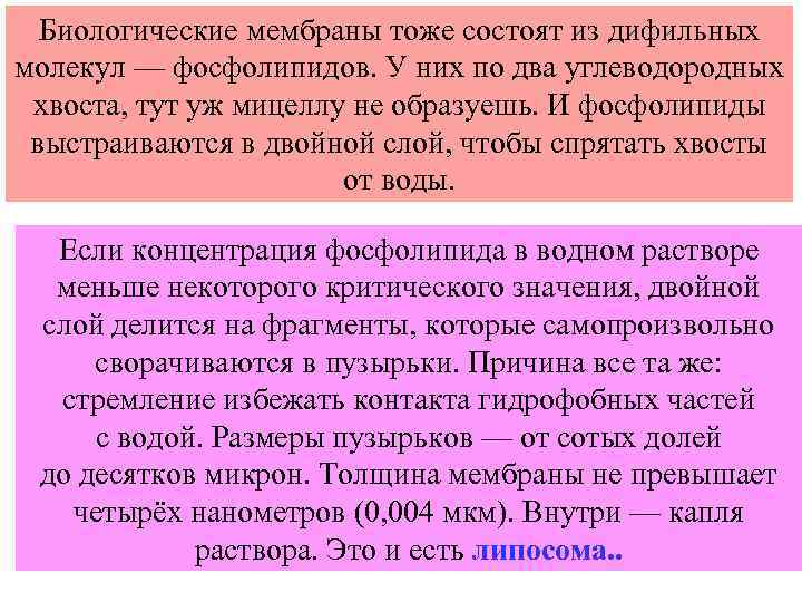 Биологические мембраны тоже состоят из дифильных молекул — фосфолипидов. У них по два углеводородных