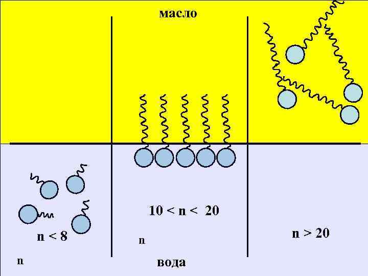 масло 10 < n < 20 n < 8 n n > 20 n