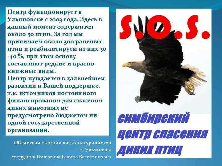 Центр функционирует в Ульяновске с 2003 года. Здесь в данный момент содержится около 50