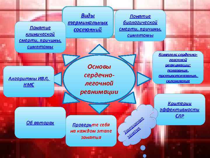 Понятие клинической смерти, причины, симптомы Алгоритмы ИВЛ, НМС Об авторах Виды терминальных состояний Понятие