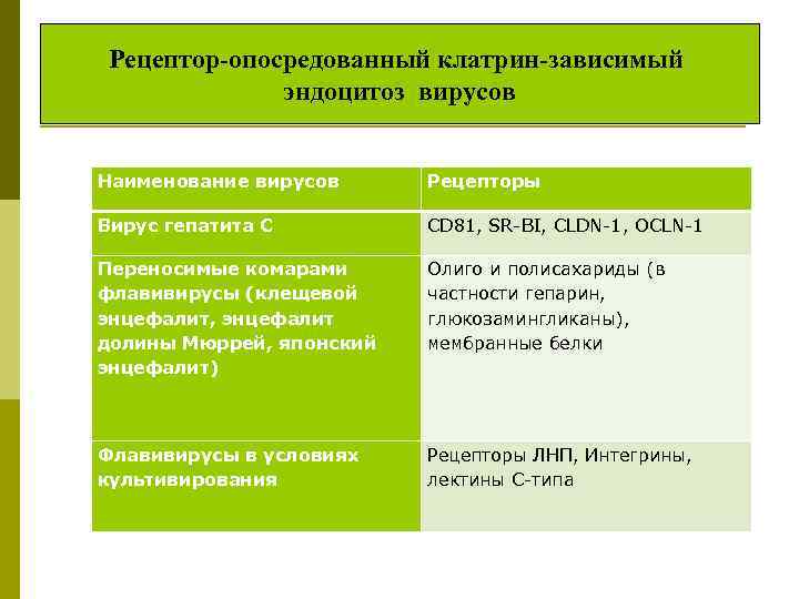 Рецептор-опосредованный клатрин-зависимый эндоцитоз вирусов Наименование вирусов Рецепторы Вирус гепатита С CD 81, SR-BI, CLDN-1,
