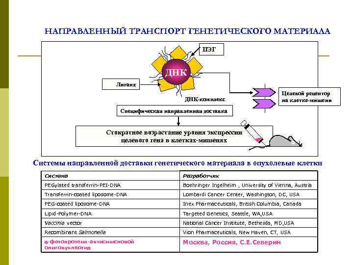 НАПРАВЛЕННЫЙ ТРАНСПОРТ ГЕНЕТИЧЕСКОГО МАТЕРИАЛА ПЭГ ДНК Лиганд ДНК-комплекс Целевой рецептор на клетке-мишени Специфическая направленная