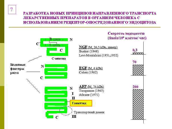 7 РАЗРАБОТКА НОВЫХ ПРИНЦИПОВ НАПРАВЛЕННОГО ТРАНСПОРТА ЛЕКАРСТВЕННЫХ ПРЕПАРАТОВ В ОРГАНИЗМ ЧЕЛОВЕКА С ИСПОЛЬЗОВАНИЕМ РЕЦЕПТОР-ОПОСРЕДОВАННОГО
