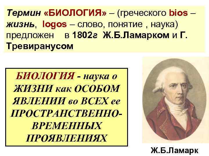 Биологический термин человек