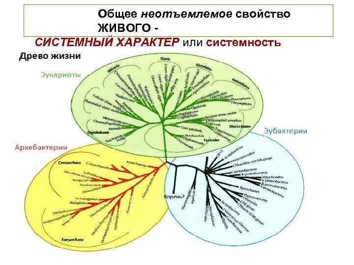 Кафедра биологии волгу