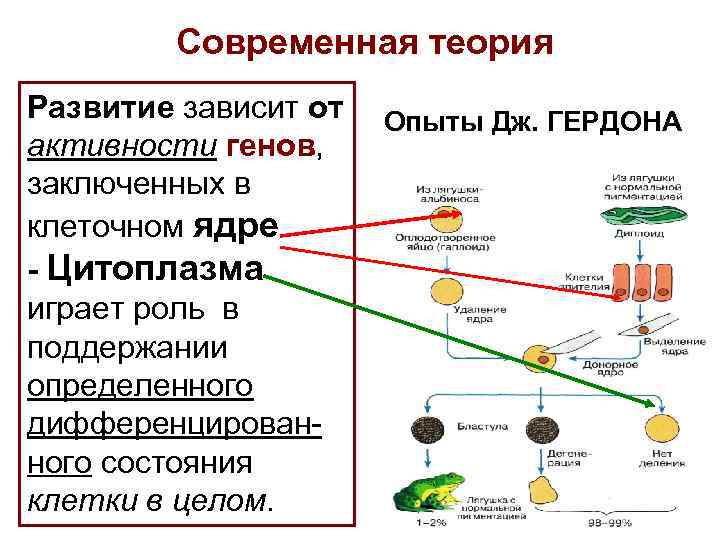 Развитие зависит от