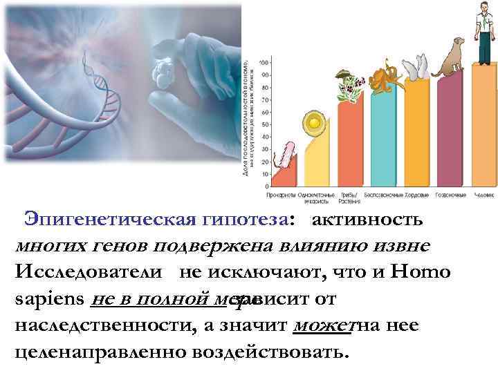 Схема реализации наследственной информации