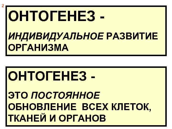 2 ОНТОГЕНЕЗ ИНДИВИДУАЛЬНОЕ РАЗВИТИЕ ОРГАНИЗМА ОНТОГЕНЕЗ ЭТО ПОСТОЯННОЕ ОБНОВЛЕНИЕ ВСЕХ КЛЕТОК, ТКАНЕЙ И ОРГАНОВ