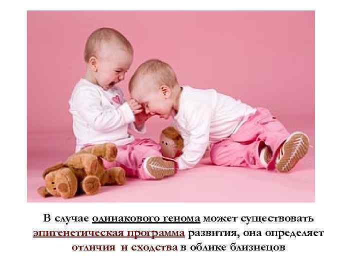 В случае одинакового генома может существовать эпигенетическая программа развития, она определяет отличия и сходства