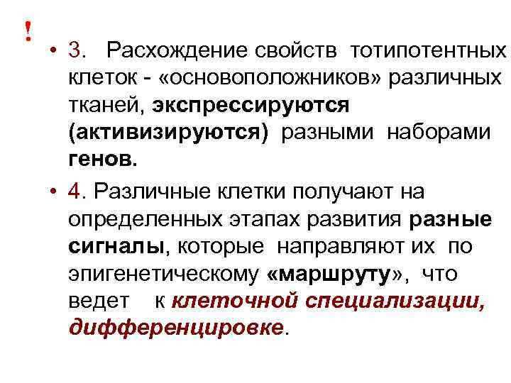 ! • 3. Расхождение свойств тотипотентных клеток - «основоположников» различных тканей, экспрессируются (активизируются) разными