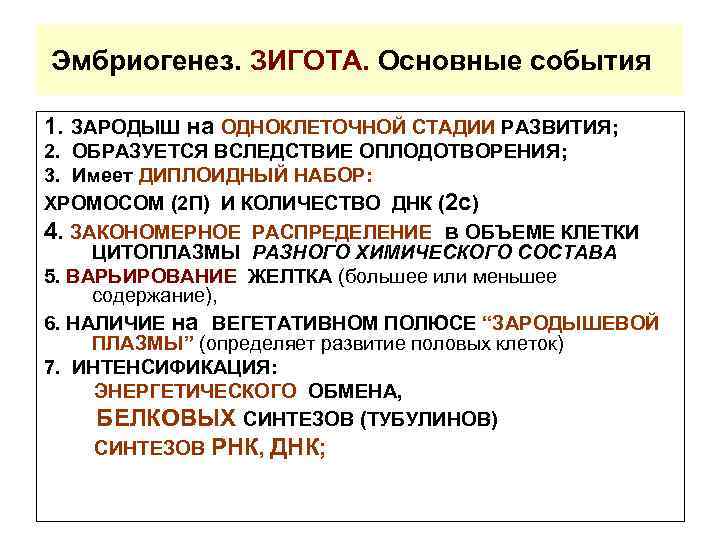 Эмбриогенез. ЗИГОТА. Основные события 1. ЗАРОДЫШ на ОДНОКЛЕТОЧНОЙ СТАДИИ РАЗВИТИЯ; 2. ОБРАЗУЕТСЯ ВСЛЕДСТВИЕ ОПЛОДОТВОРЕНИЯ;