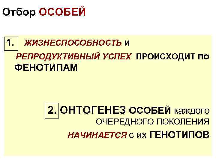 Отбор ОСОБЕЙ 1. ЖИЗНЕСПОСОБНОСТЬ и РЕПРОДУКТИВНЫЙ УСПЕХ ПРОИСХОДИТ по ФЕНОТИПАМ 2. ОНТОГЕНЕЗ ОСОБЕЙ каждого