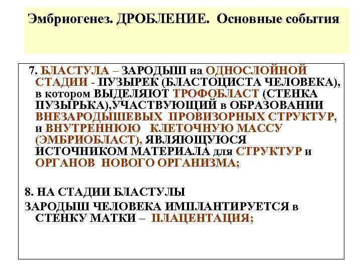 Эмбриогенез. ДРОБЛЕНИЕ. Основные события 7. БЛАСТУЛА – ЗАРОДЫШ на ОДНОСЛОЙНОЙ СТАДИИ - ПУЗЫРЕК (БЛАСТОЦИСТА