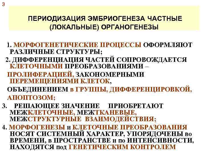 3 ПЕРИОДИЗАЦИЯ ЭМБРИОГЕНЕЗА ЧАСТНЫЕ (ЛОКАЛЬНЫЕ) ОРГАНОГЕНЕЗЫ 1. МОРФОГЕНЕТИЧЕСКИЕ ПРОЦЕССЫ ОФОРМЛЯЮТ РАЗЛИЧНЫЕ СТРУКТУРЫ; 2. ДИФФЕРЕНЦИАЦИЯ