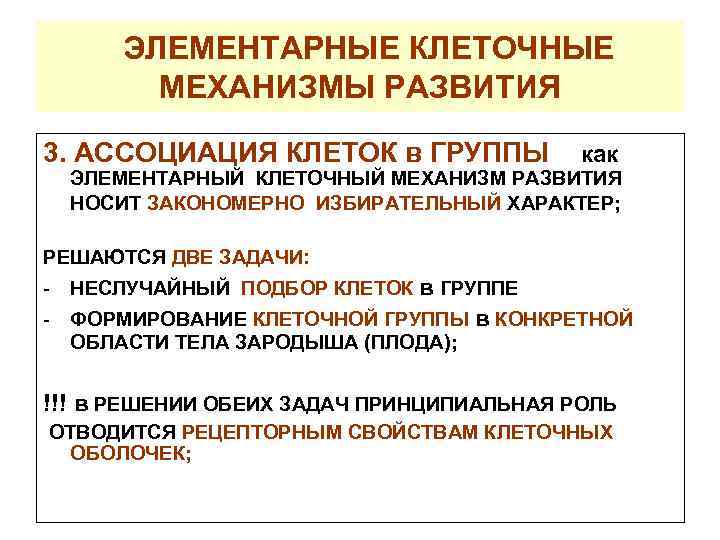ЭЛЕМЕНТАРНЫЕ КЛЕТОЧНЫЕ МЕХАНИЗМЫ РАЗВИТИЯ 3. АССОЦИАЦИЯ КЛЕТОК в ГРУППЫ как ЭЛЕМЕНТАРНЫЙ КЛЕТОЧНЫЙ МЕХАНИЗМ РАЗВИТИЯ