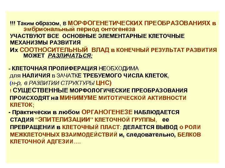 !!! Таким образом, В МОРФОГЕНЕТИЧЕСКИХ ПРЕОБРАЗОВАНИЯХ в эмбриональный период онтогенеза УЧАСТВУЮТ ВСЕ ОСНОВНЫЕ ЭЛЕМЕНТАРНЫЕ
