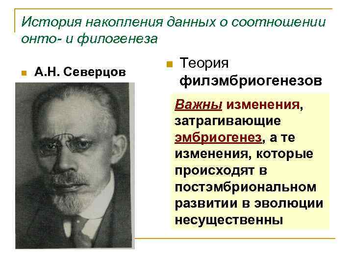 История накопления данных о соотношении онто- и филогенеза n А. Н. Северцов n Теория