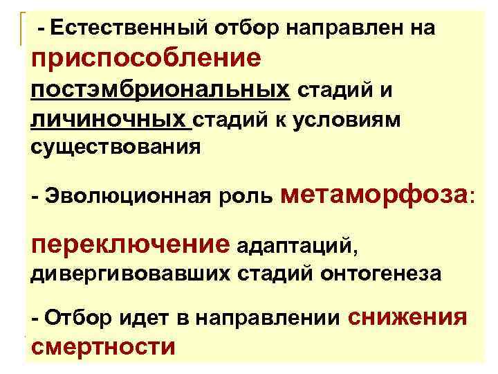 - Естественный отбор направлен на приспособление постэмбриональных стадий и личиночных стадий к условиям существования