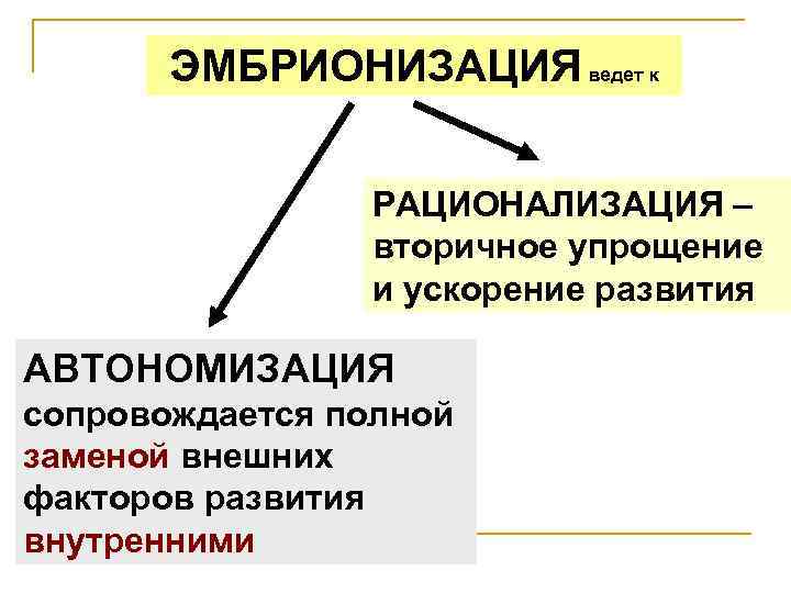 ЭМБРИОНИЗАЦИЯ ведет к РАЦИОНАЛИЗАЦИЯ – вторичное упрощение и ускорение развития АВТОНОМИЗАЦИЯ сопровождается полной заменой