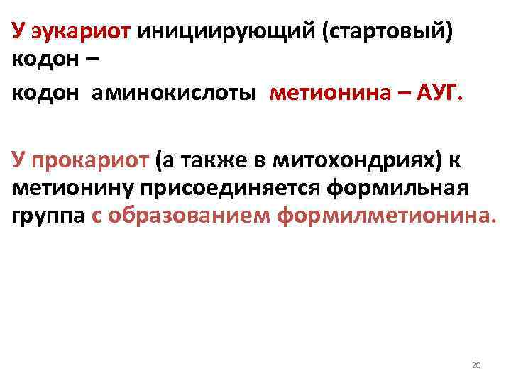 У эукариот инициирующий (стартовый) кодон – кодон аминокислоты метионина – АУГ. У прокариот (а