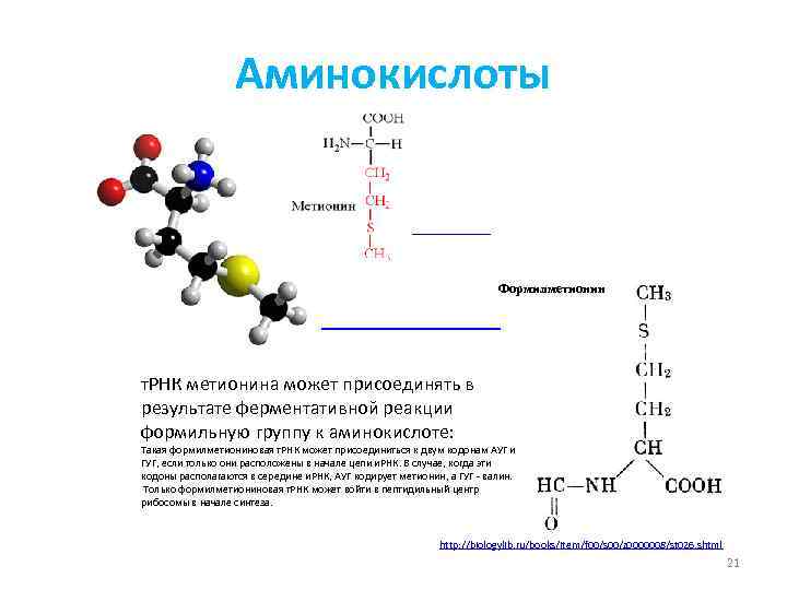 Аминокислоты » Формилметионин » т. РНК метионина может присоединять в результате ферментативной реакции формильную