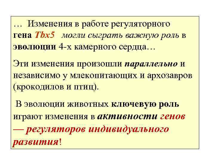 … Изменения в работе регуляторного гена Tbx 5 могли сыграть важную роль в эволюции