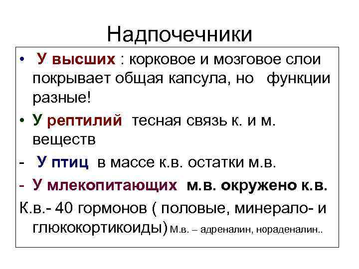 Надпочечники • У высших : корковое и мозговое слои покрывает общая капсула, но функции