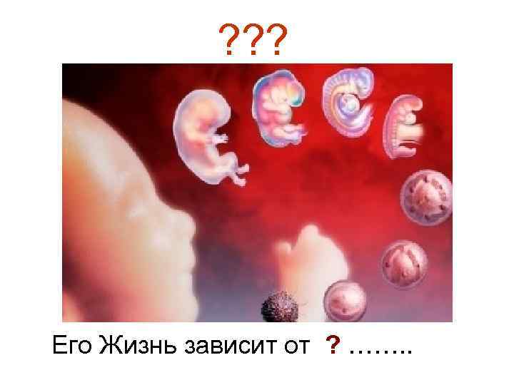 ? ? ? Его Жизнь зависит от ? ……. . 